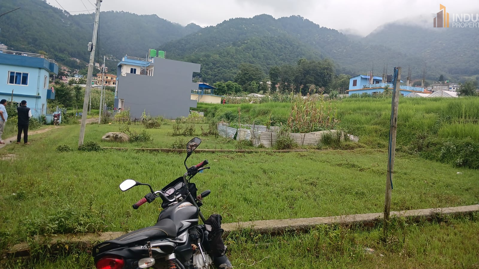 Picture of Mahalaxmi Municipality, Bagmati