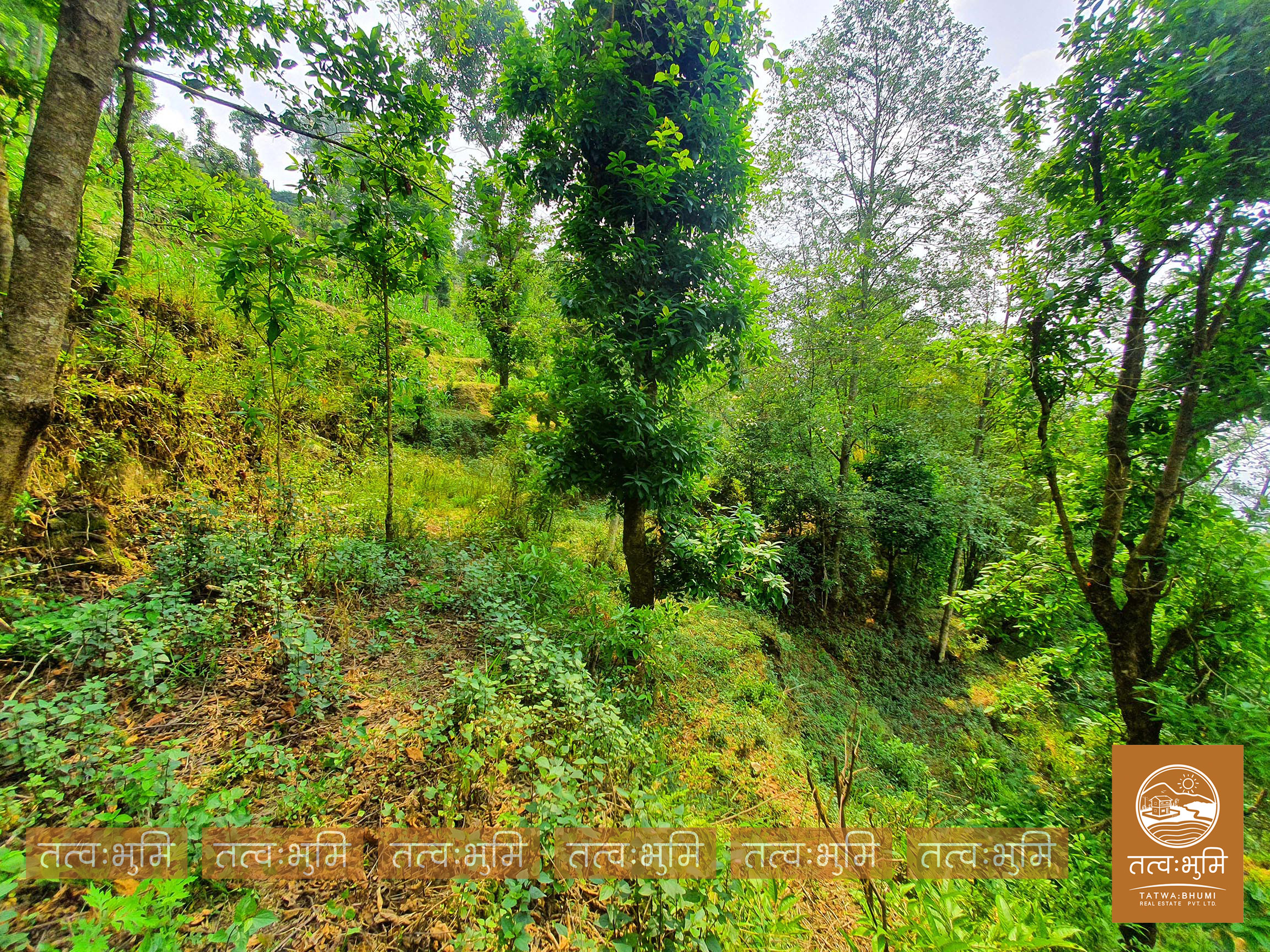 Picture of Shivapuri Rural Municipality, Bagmati
