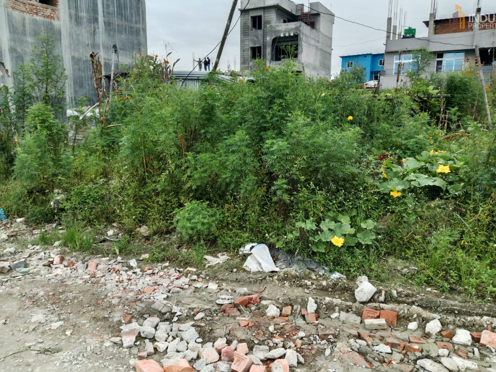 Picture of Mahalaxmi Municipality, Bagmati