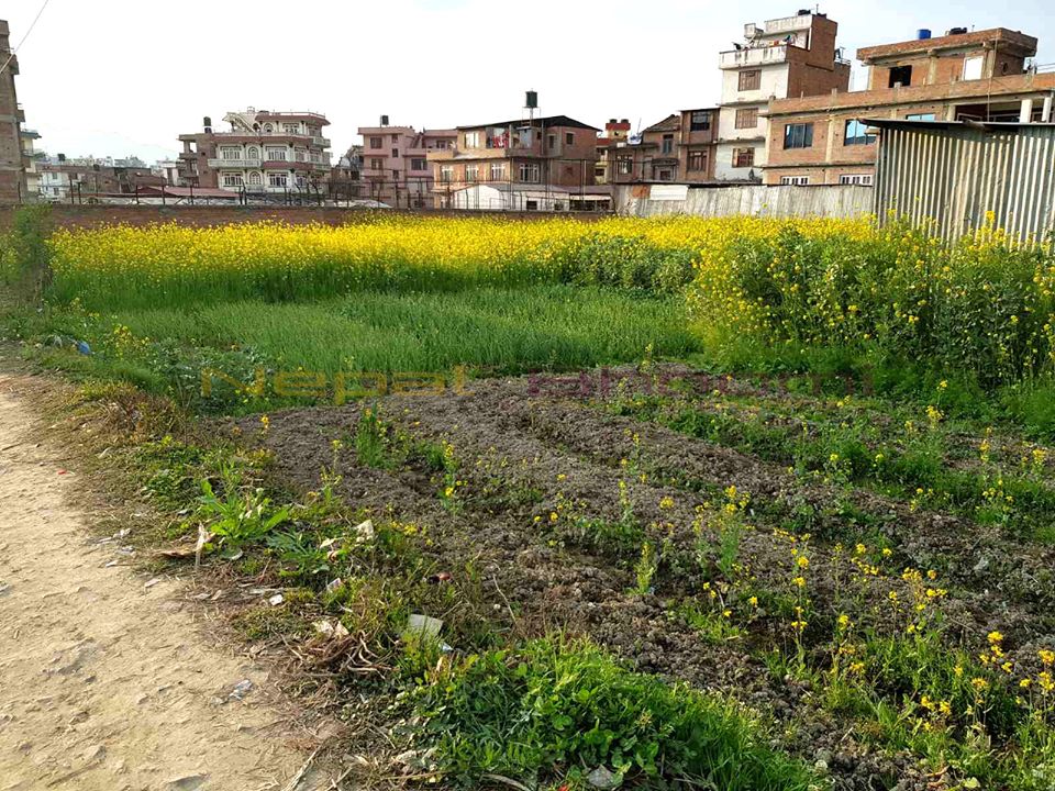 Picture of Godawari Municipality, Bagmati Province