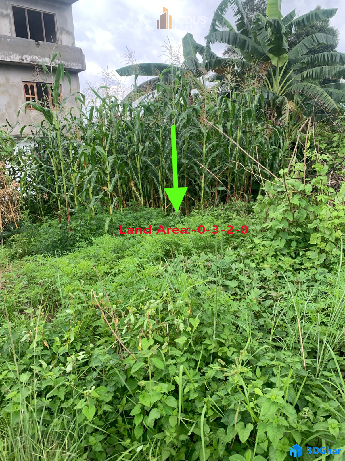 property-image