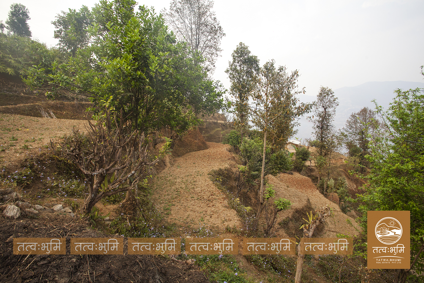 Picture of Shivapuri Rural Municipality, Bagmati