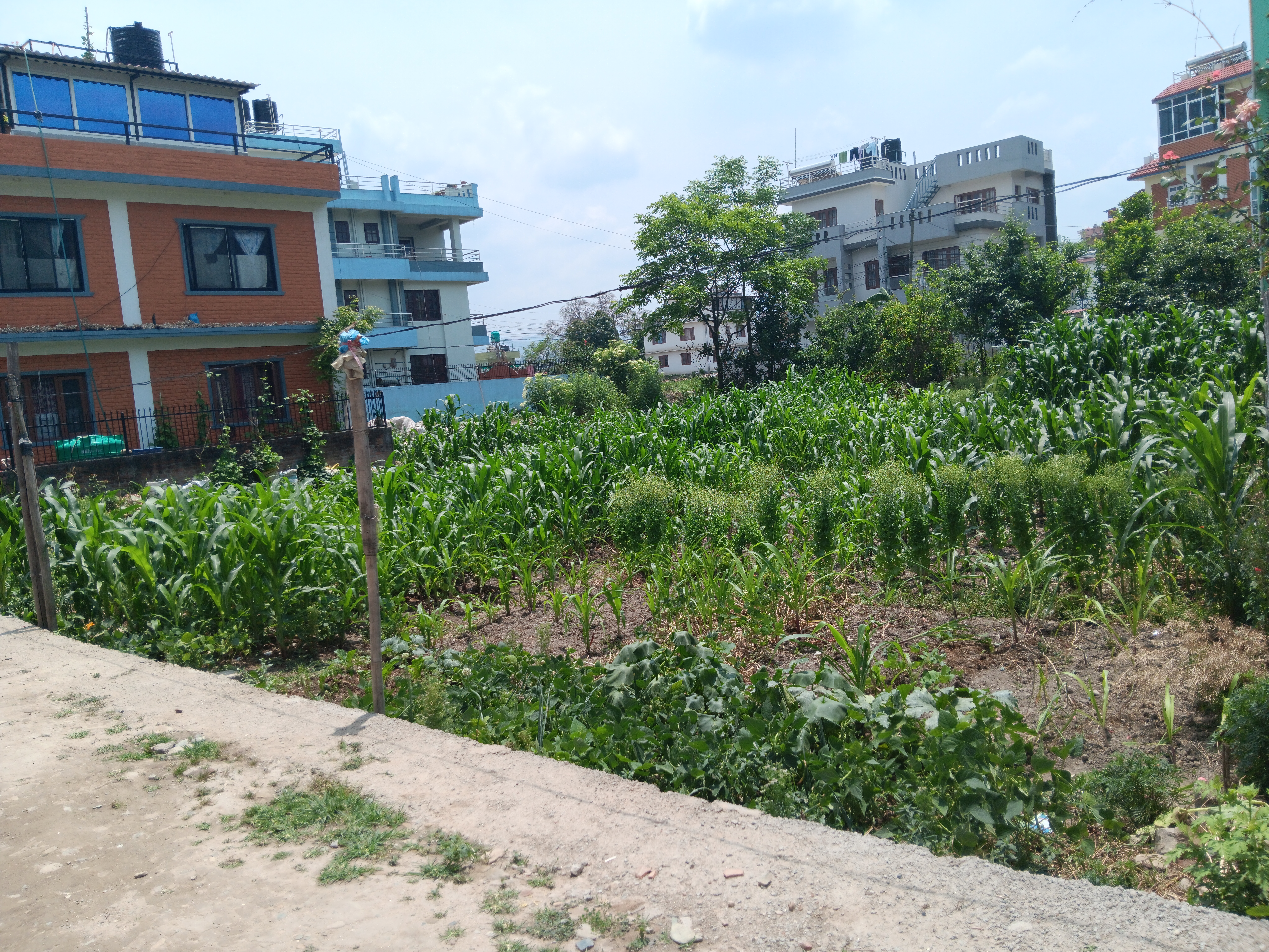 Picture of Lalitpur Metropolitan City, Bagmati