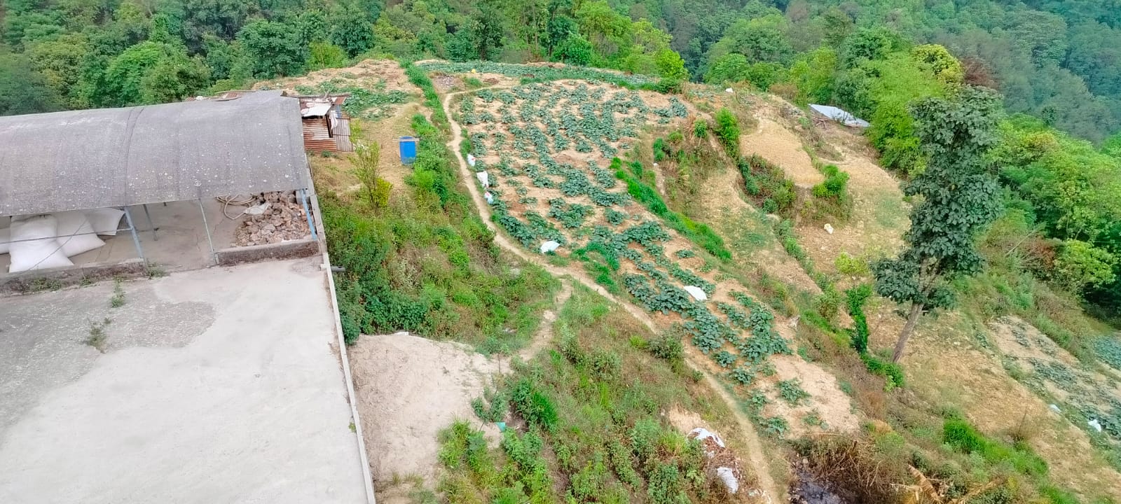 Picture of Tarkeshwor Municipality, Bagmati