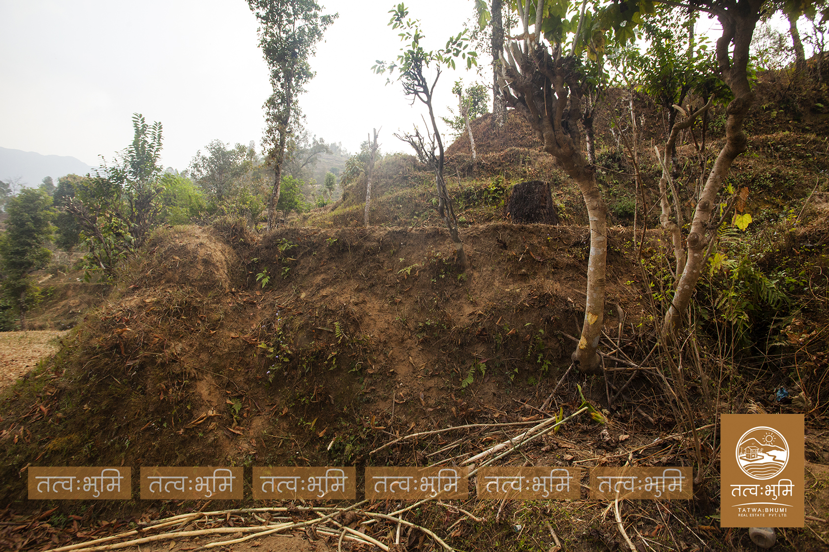 Picture of Shivapuri Rural Municipality, Bagmati