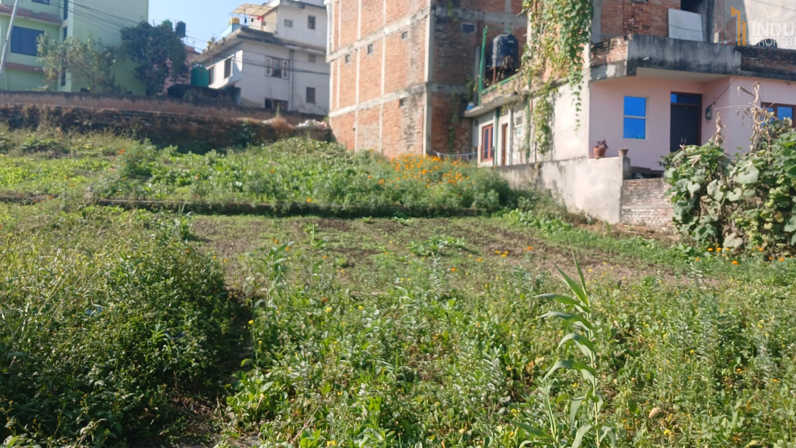 Picture of Mahalaxmi Municipality, Bagmati
