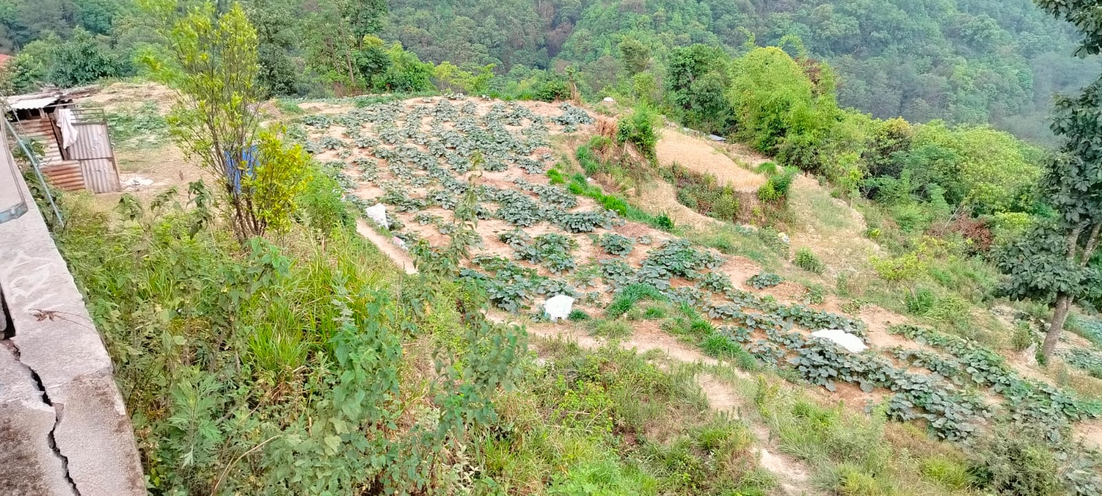 Picture of Tarkeshwor Municipality, Bagmati
