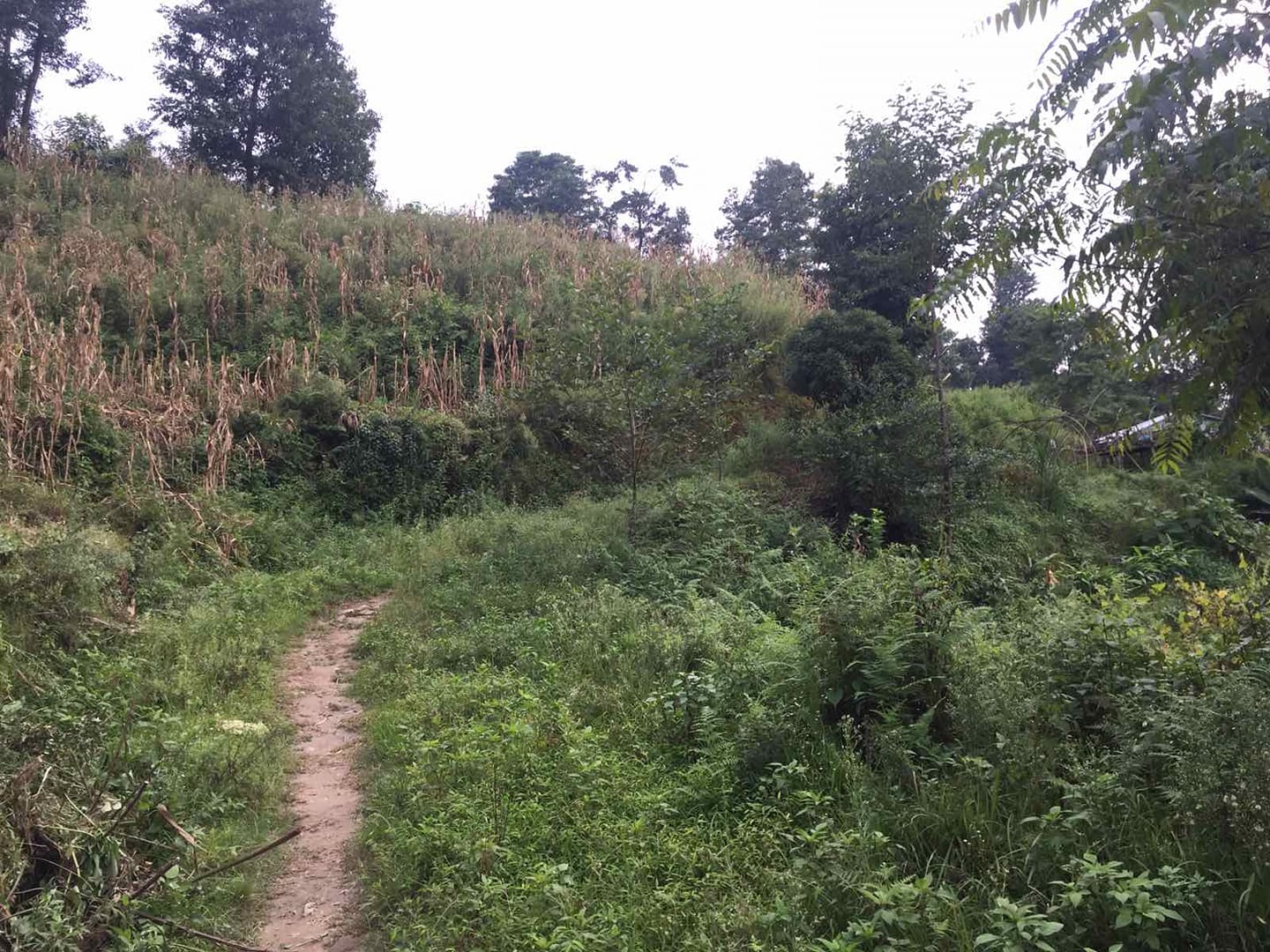 Picture of Changunarayan Municipality, Bagmati Province