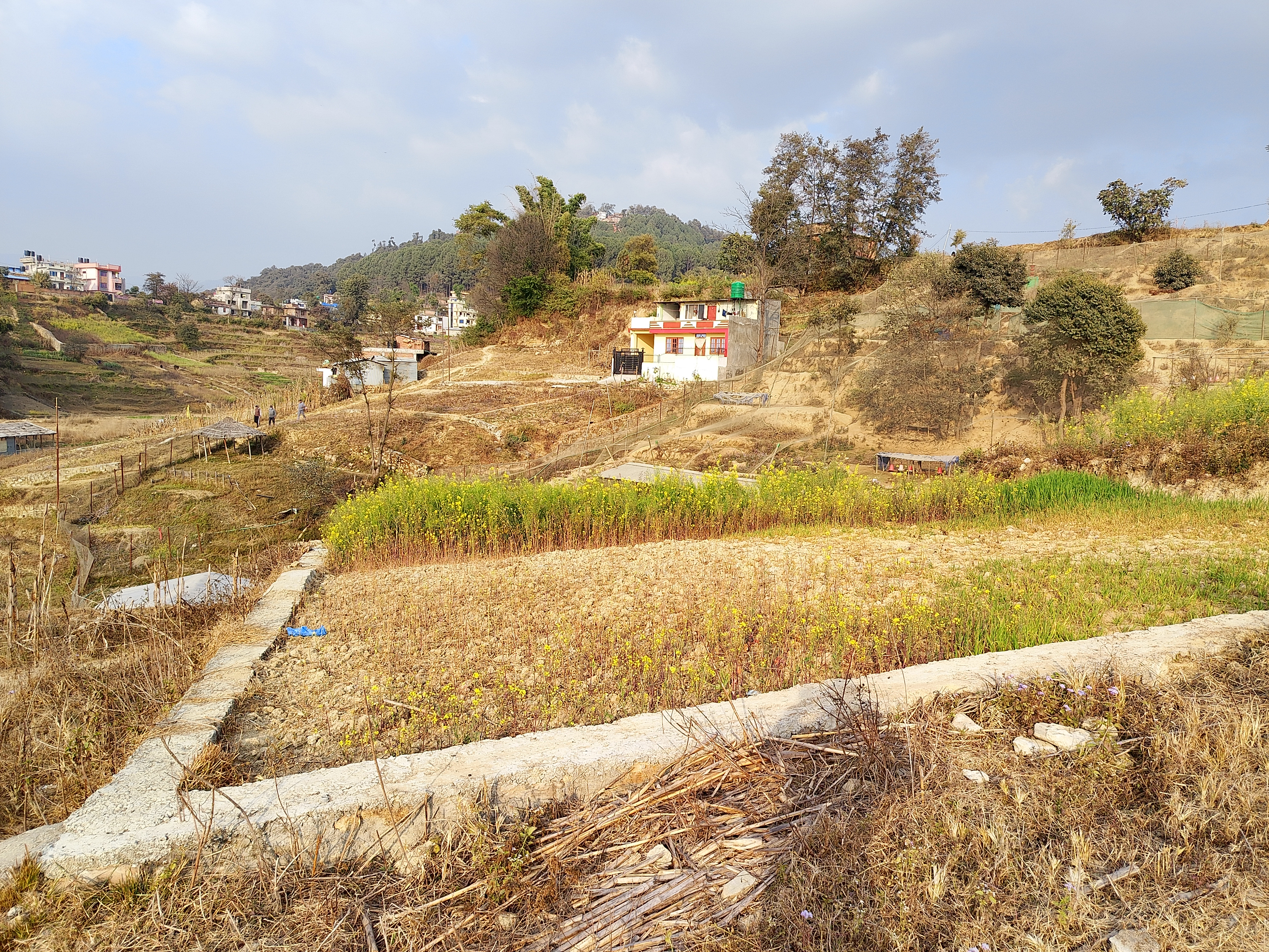 Picture of Changunarayan Municipality, Bagmati