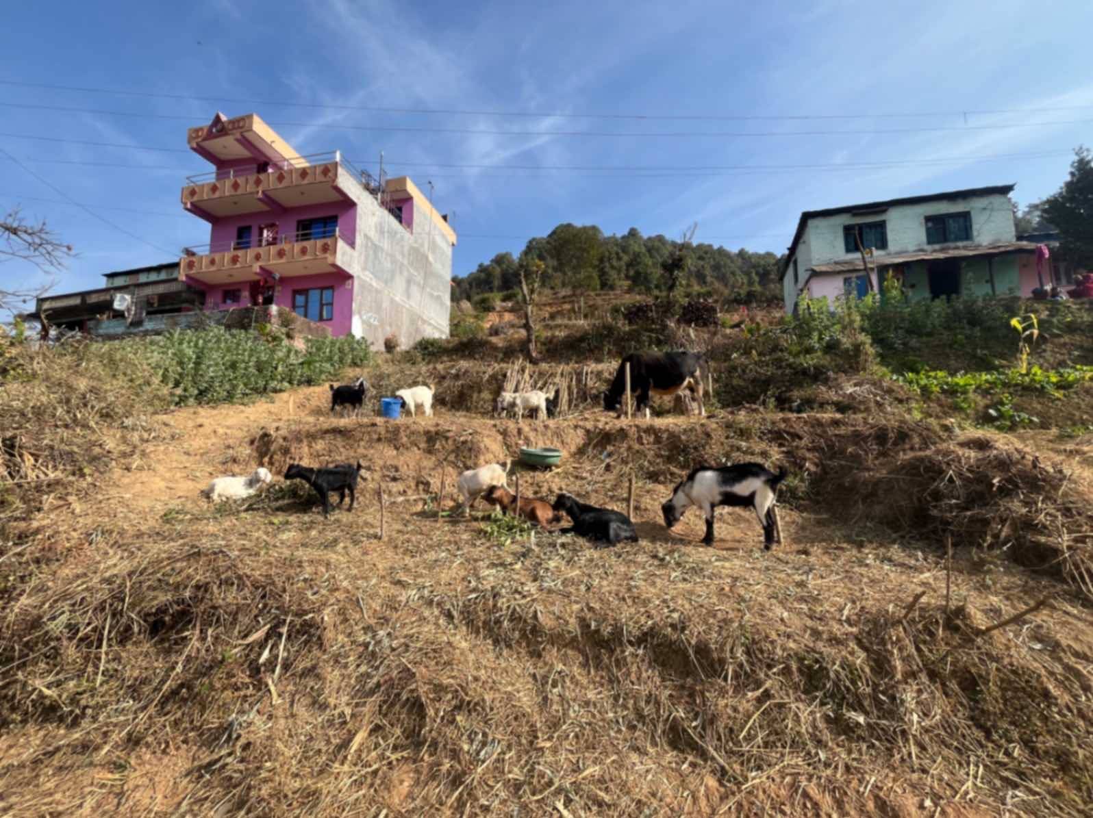 Picture of Godawari Municipality, Bagmati