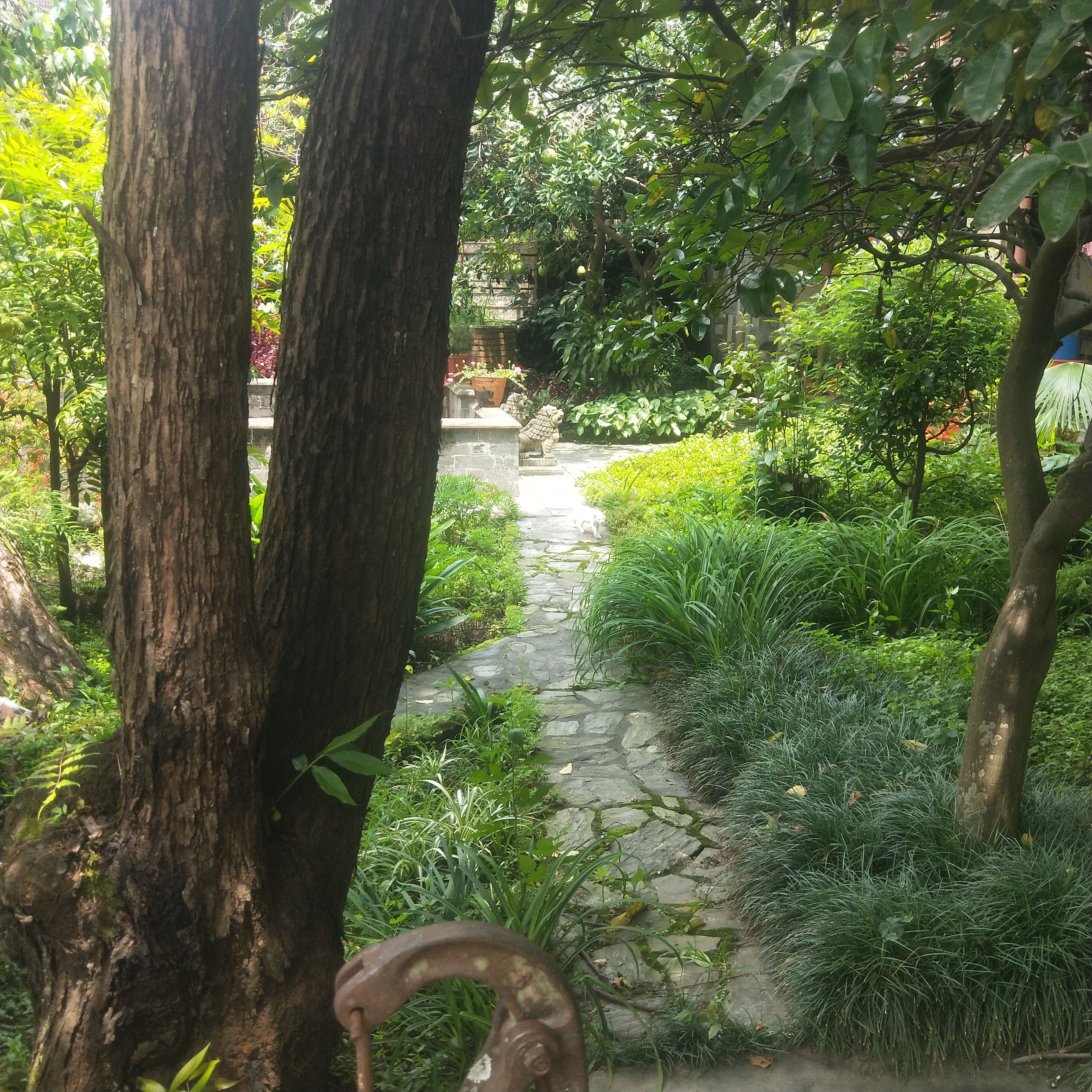 Picture of Kathmandu Metropolitan City, Bagmati