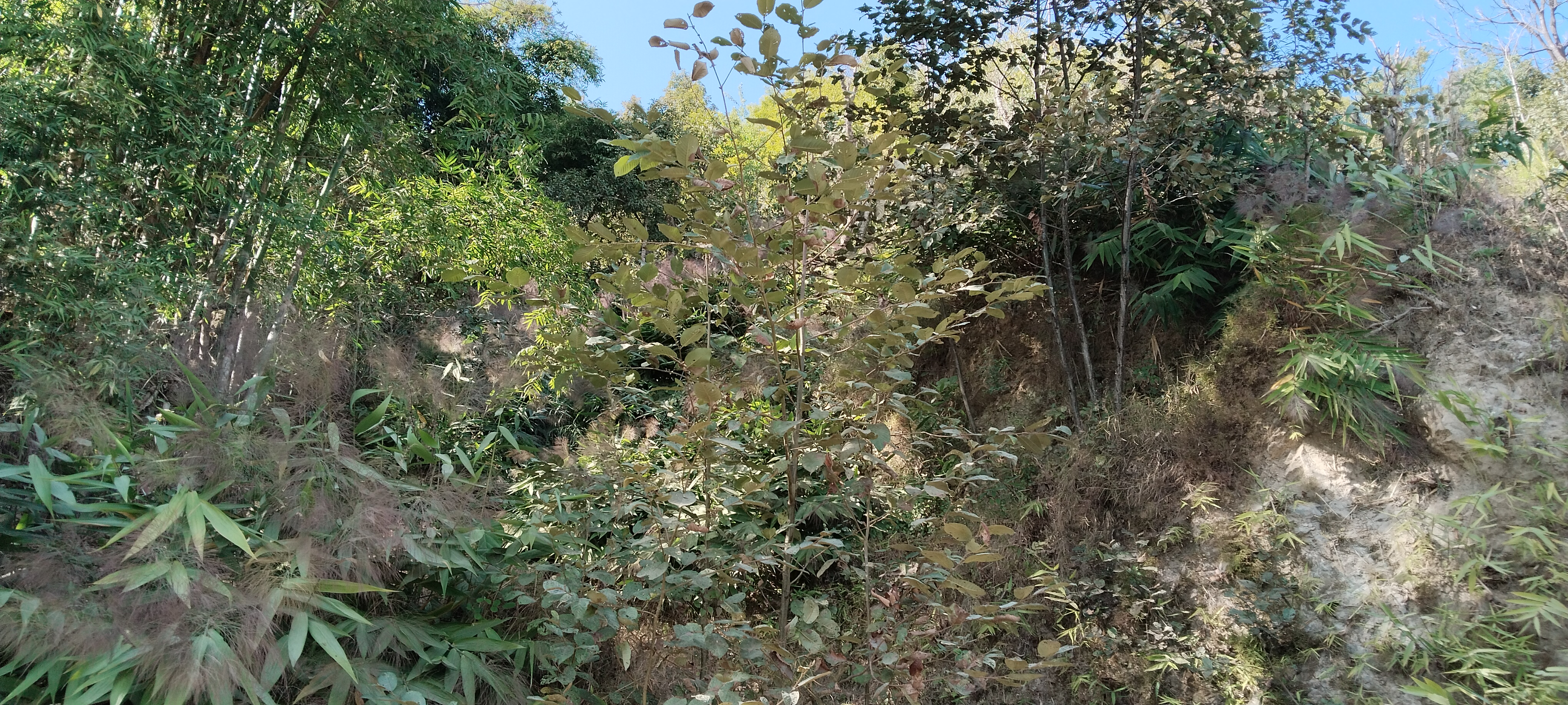 Picture of Dhulikhel Municipality, Bagmati