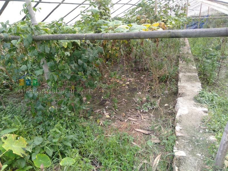 Picture of Budhanilkantha Municipality, Bagmati Province