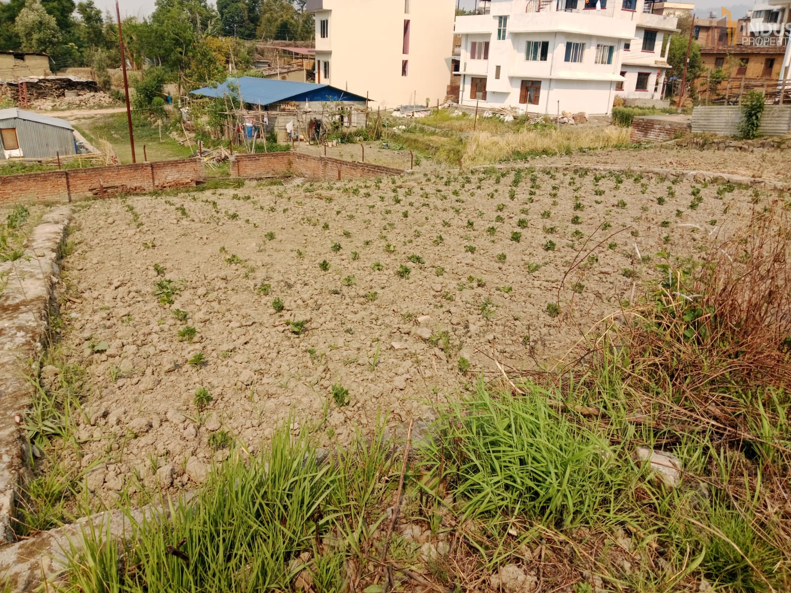 Picture of Mahalaxmi Municipality, Bagmati