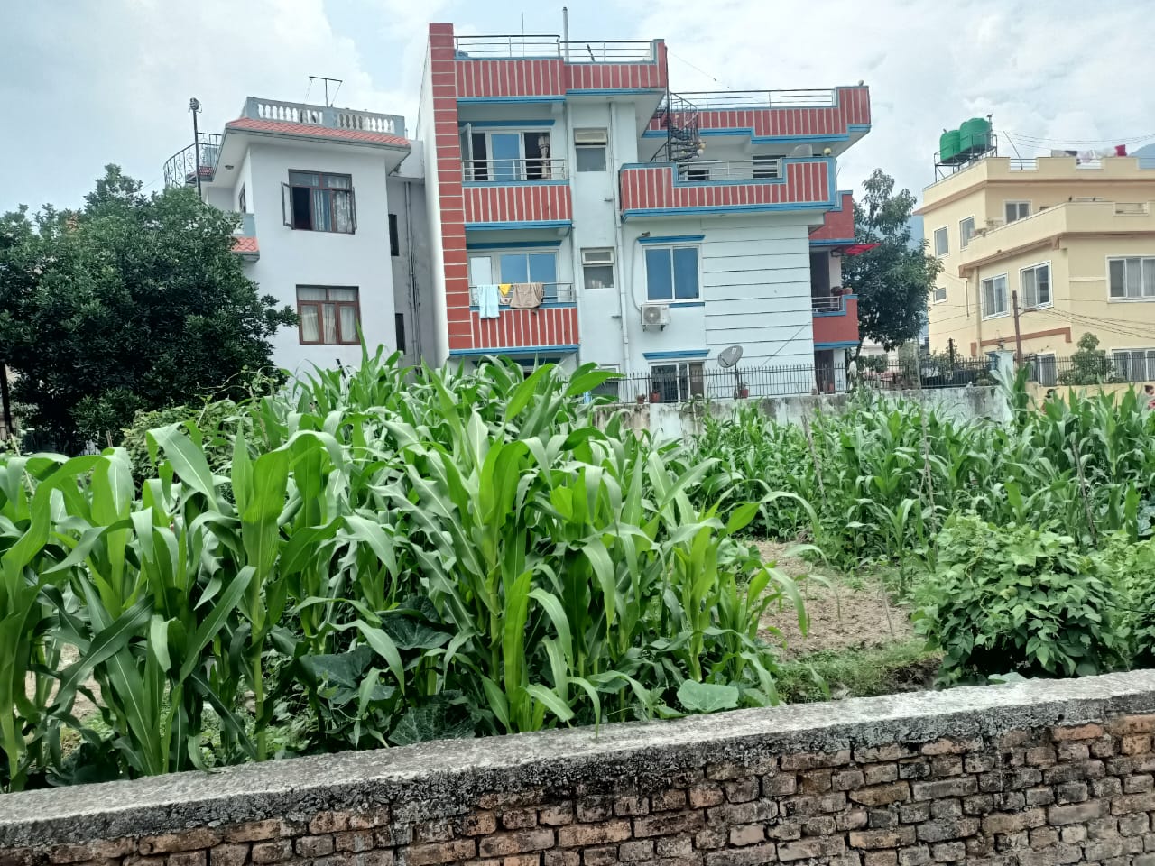 Picture of Budhanilkantha Municipality, Bagmati