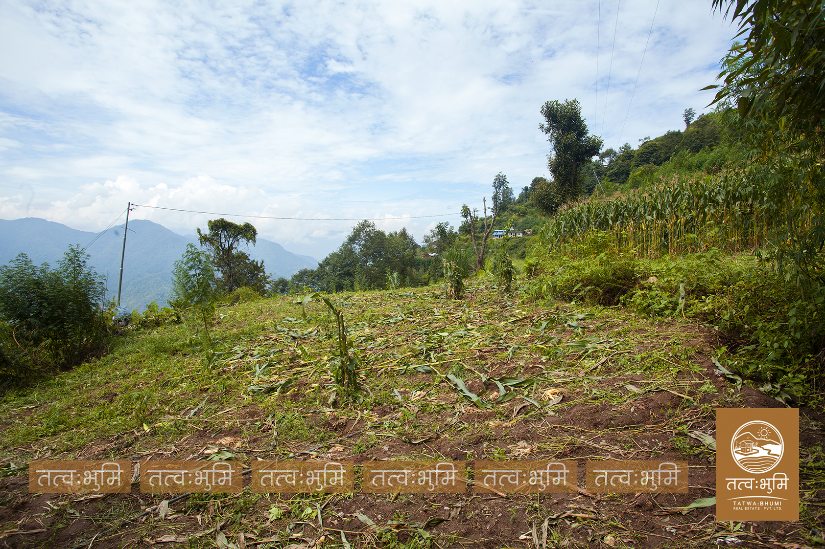 Picture of Kakani Rural Municipality, Bagmati