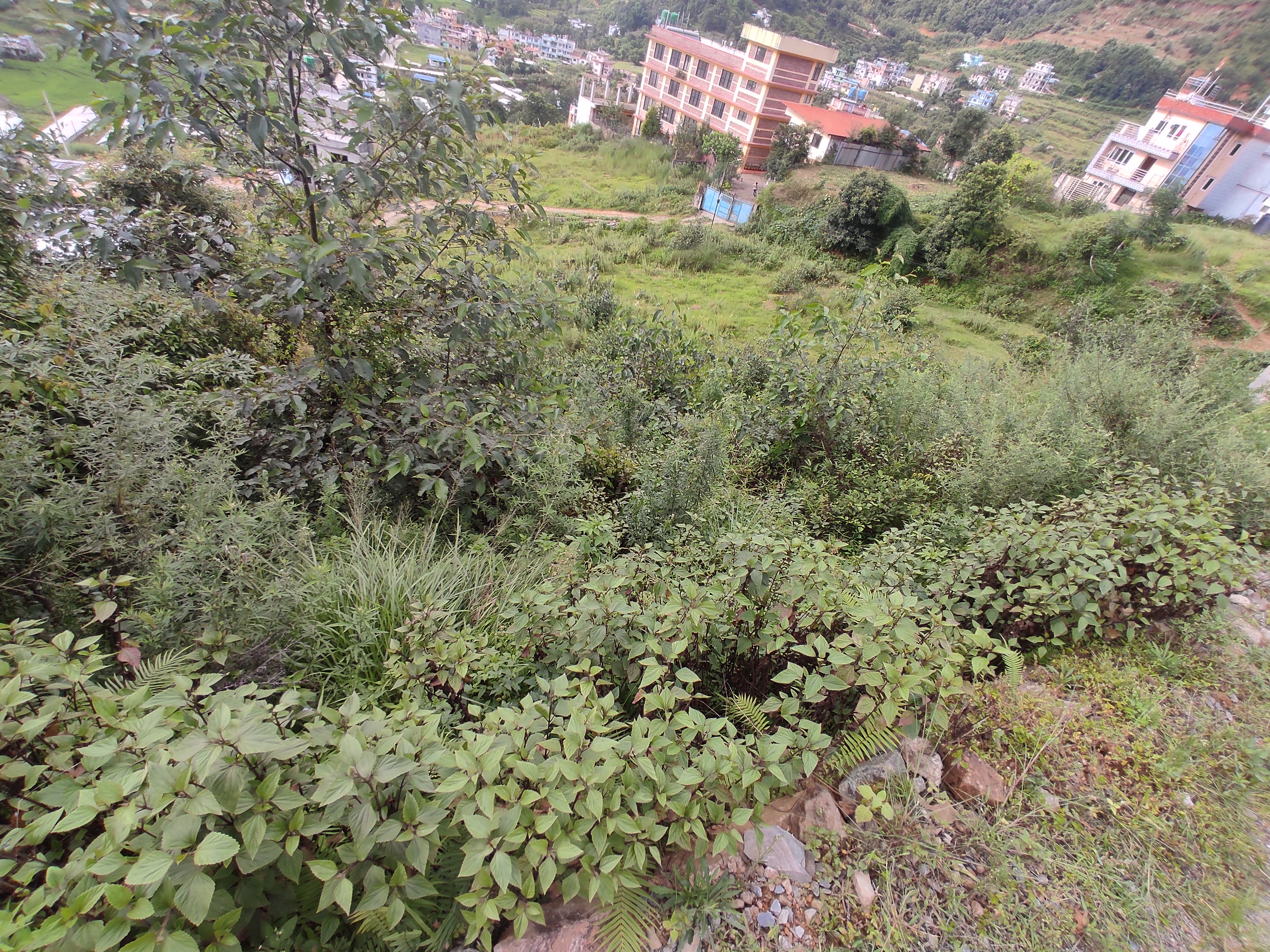 property-image