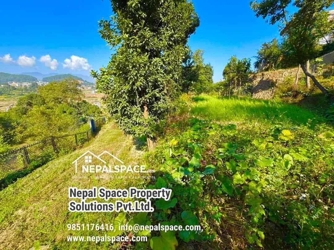 property-image