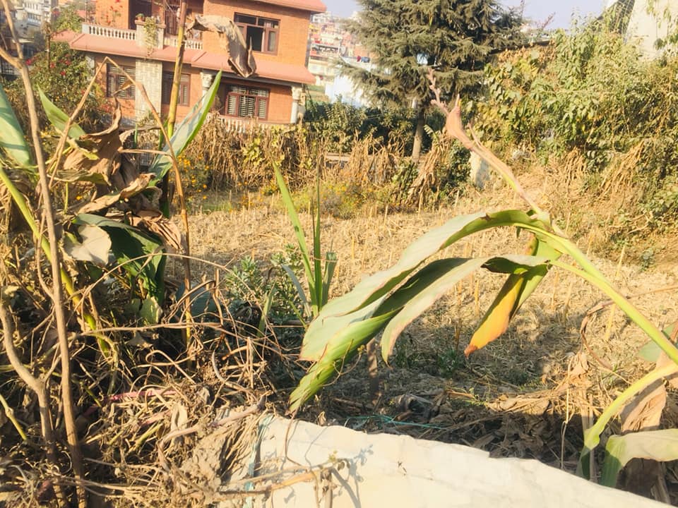 Picture of Kathmandu Metropolitan City, Bagmati Province