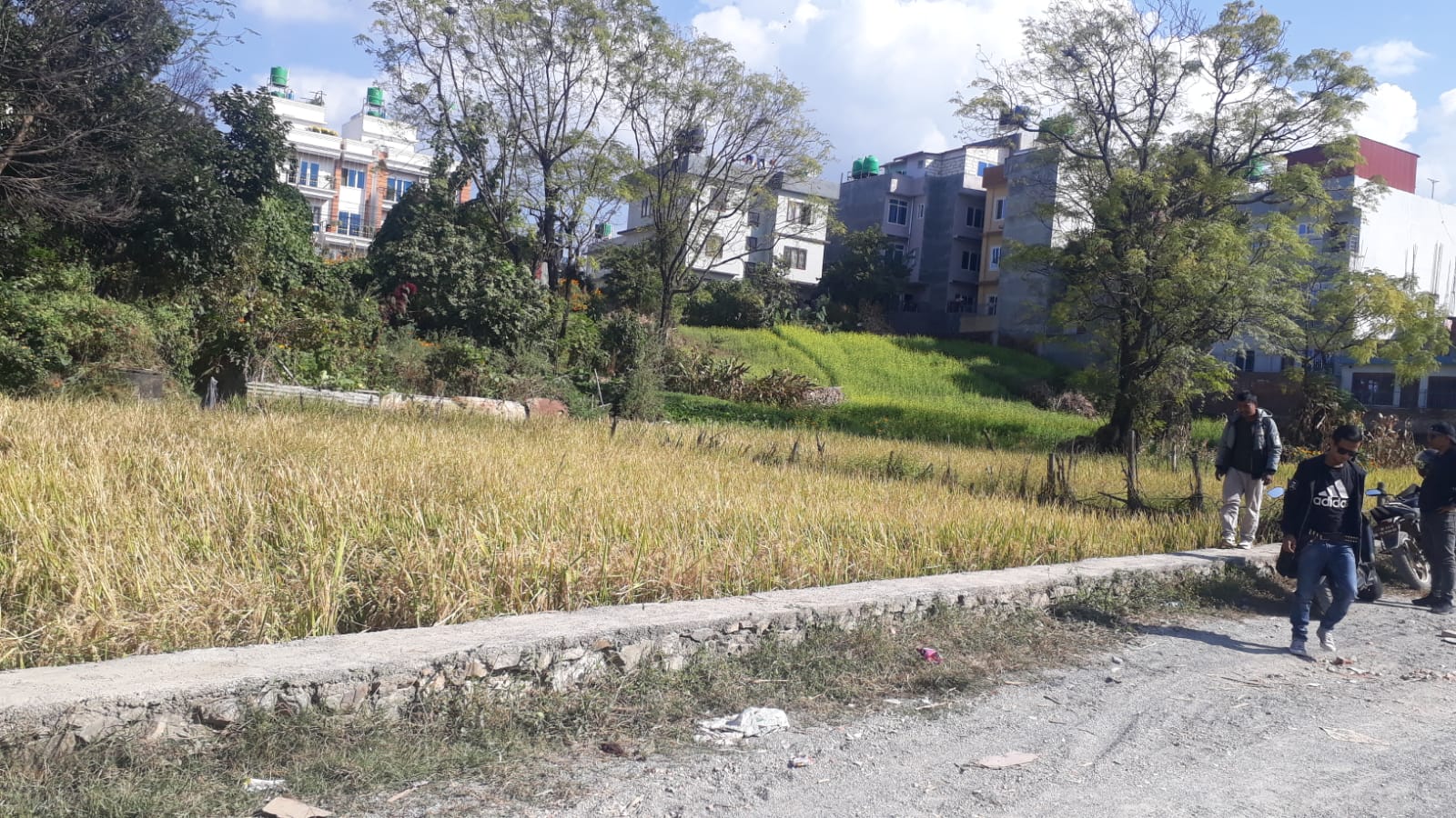 Picture of Mahalaxmi Municipality, Bagmati