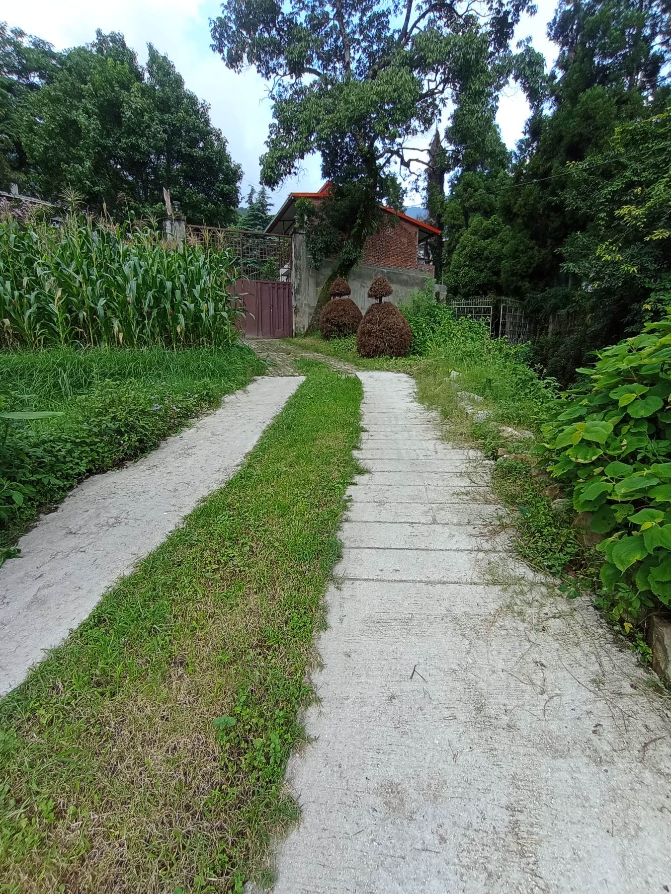 Picture of Budhanilkantha Municipality, Bagmati