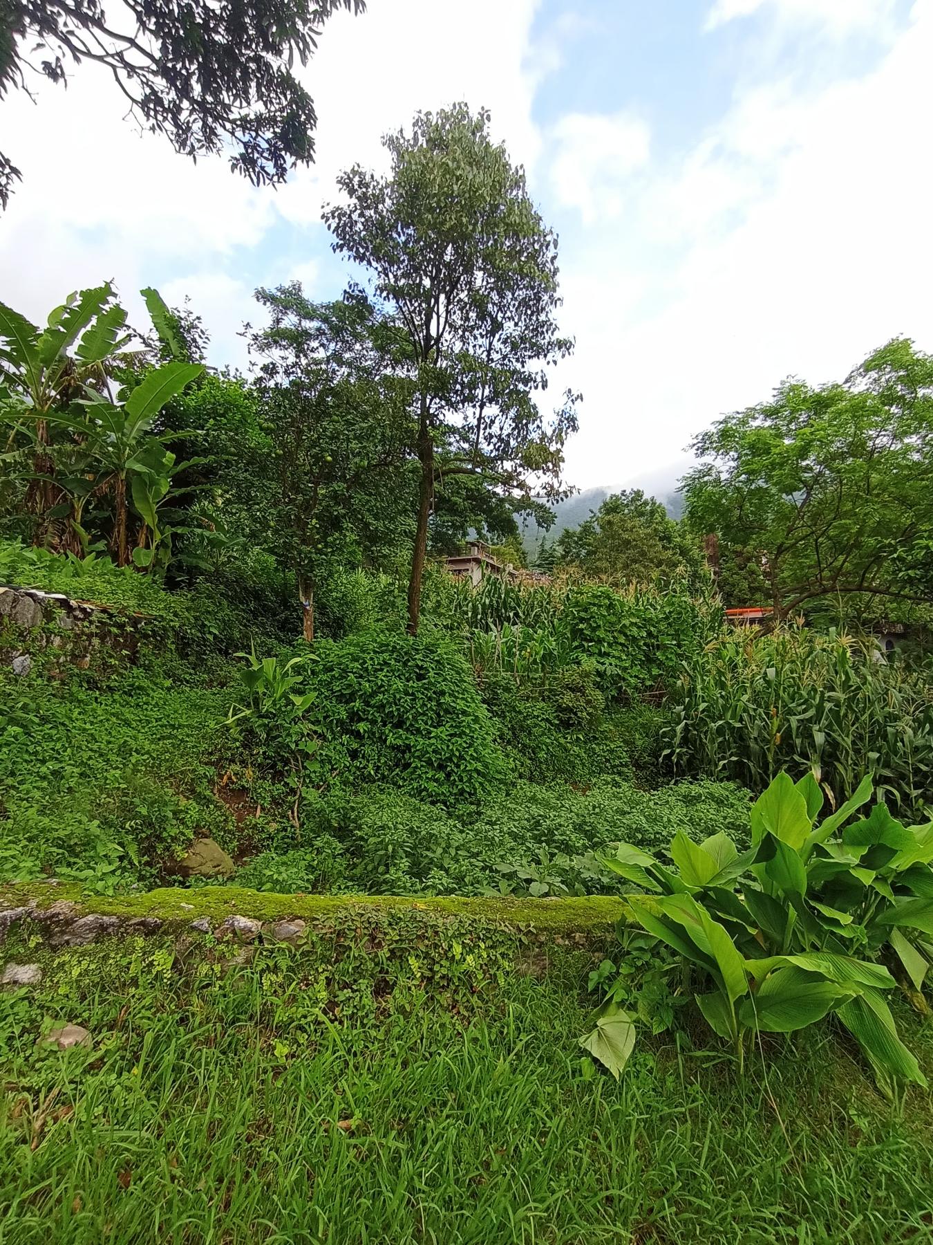 Picture of Budhanilkantha Municipality, Bagmati