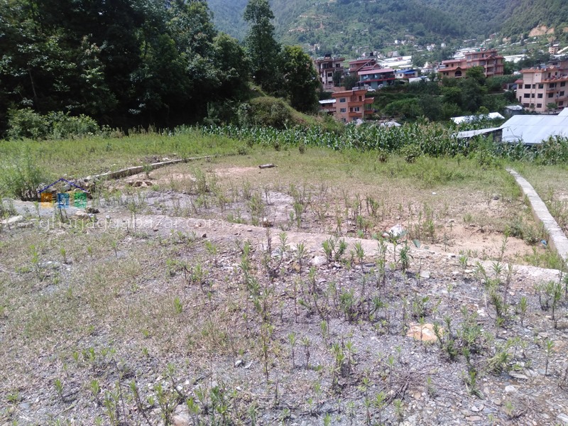 Picture of Nagarjun Municipality, Bagmati Province