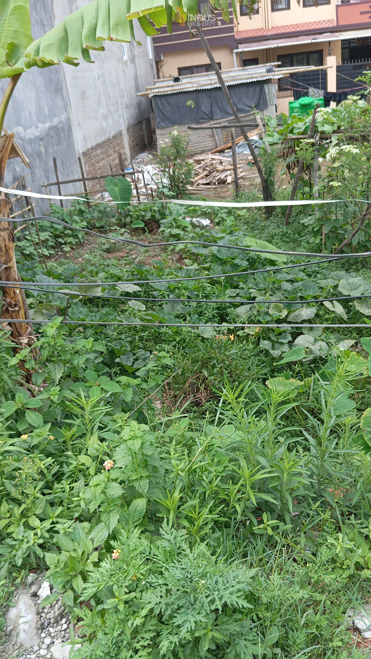 Picture of Madhyapur Thimi Municipality, Bagmati