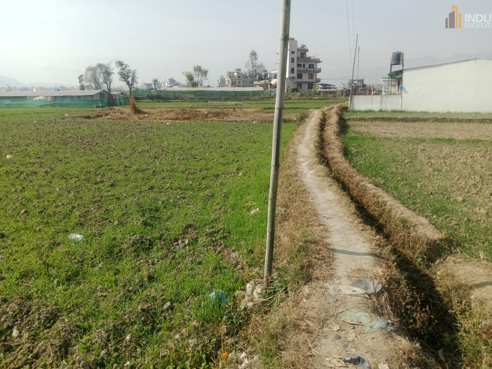 Picture of Mahalaxmi Municipality, Bagmati