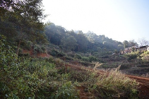 Picture of Godawari Municipality, Bagmati Province