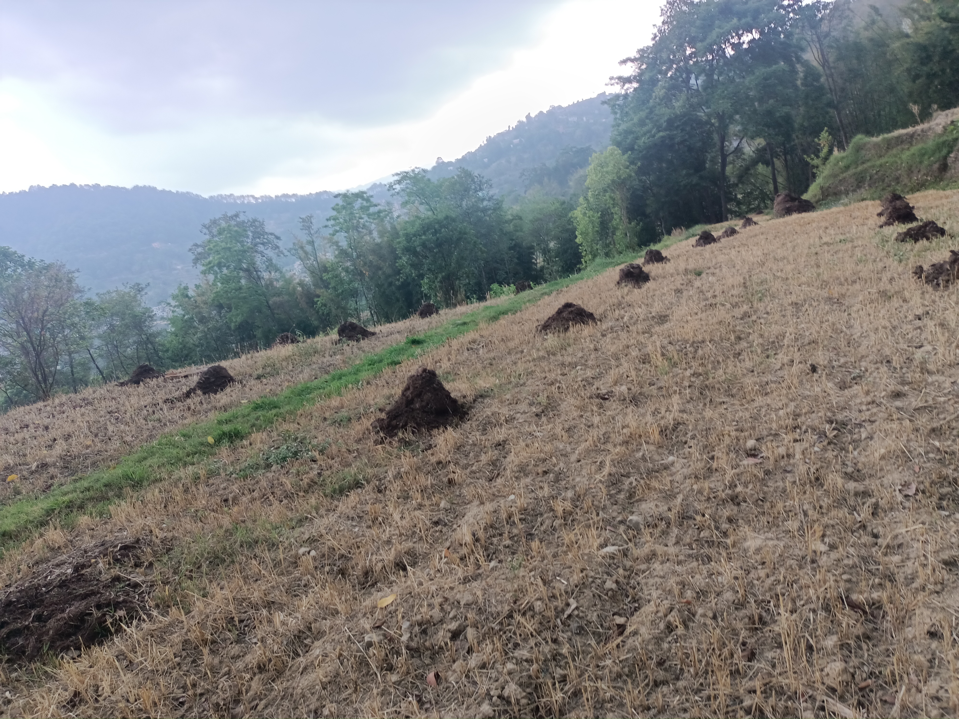 Picture of Changunarayan Municipality, Bagmati
