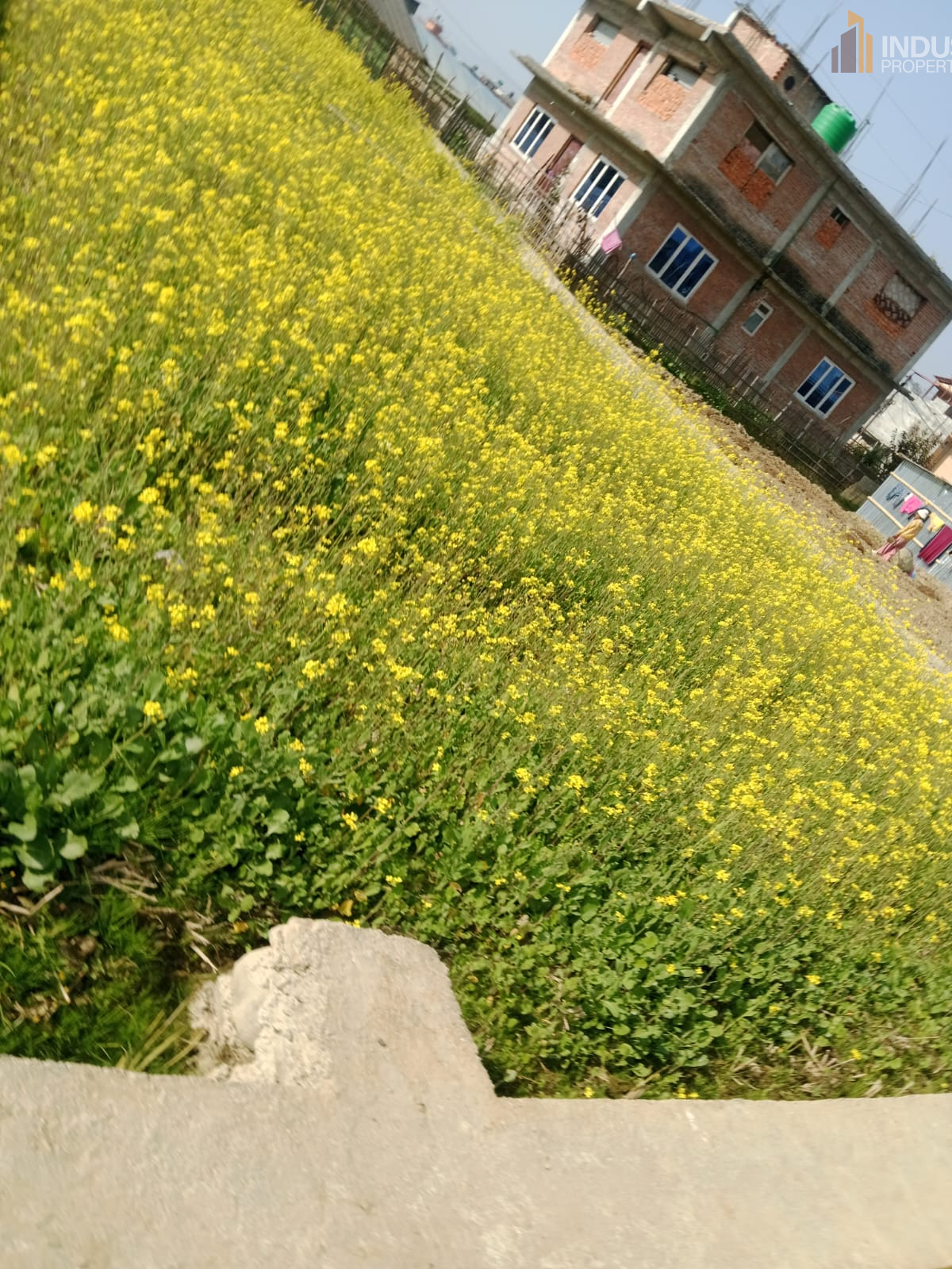 Picture of Lalitpur Metropolitan City, Bagmati